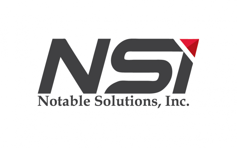 NSI Logo